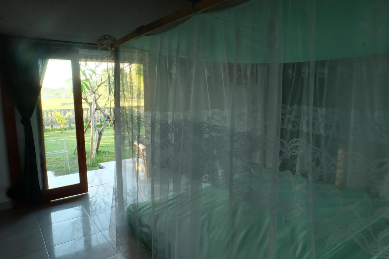 The Nyamo Surf & Stay Pulukan Kültér fotó